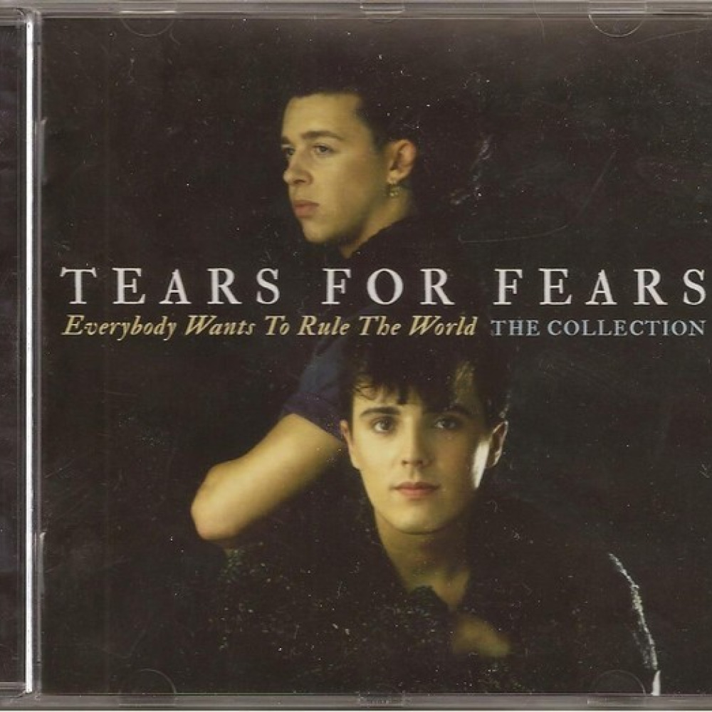 Tears for fears everybody перевод