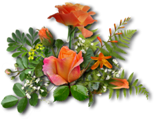 Image146 (224x174, 80Kb)